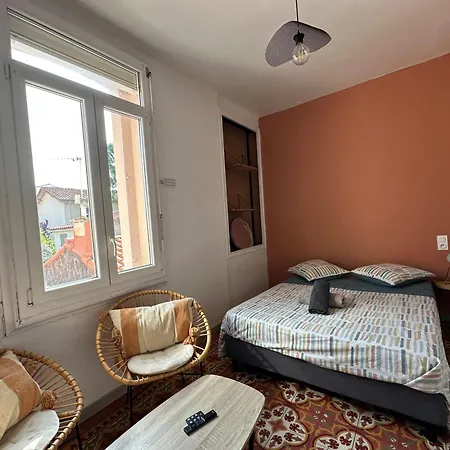 Climatise Avec Wi-fi Et Netflix - Fac, Gare & Centre A Pied Apartament *